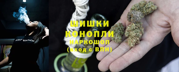 тгк Верея