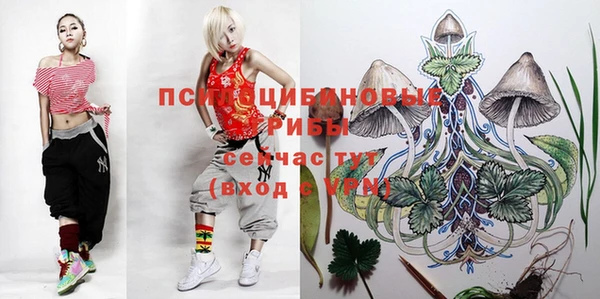 PSILOCYBIN Верхнеуральск