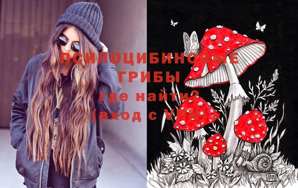 PSILOCYBIN Верхнеуральск