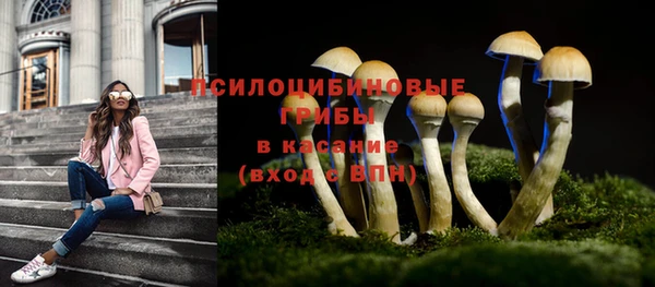 тгк Верея